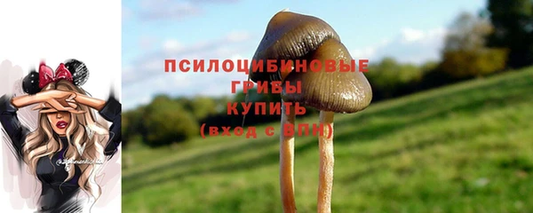 спиды Бронницы