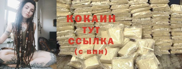твердый Бородино